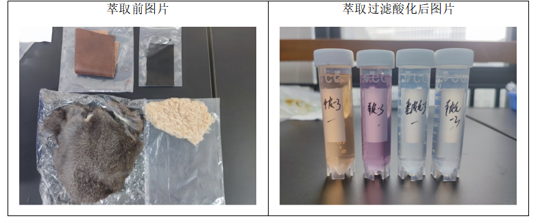 1703056243691806.png image.png