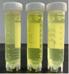 1736953630824686.png image.png